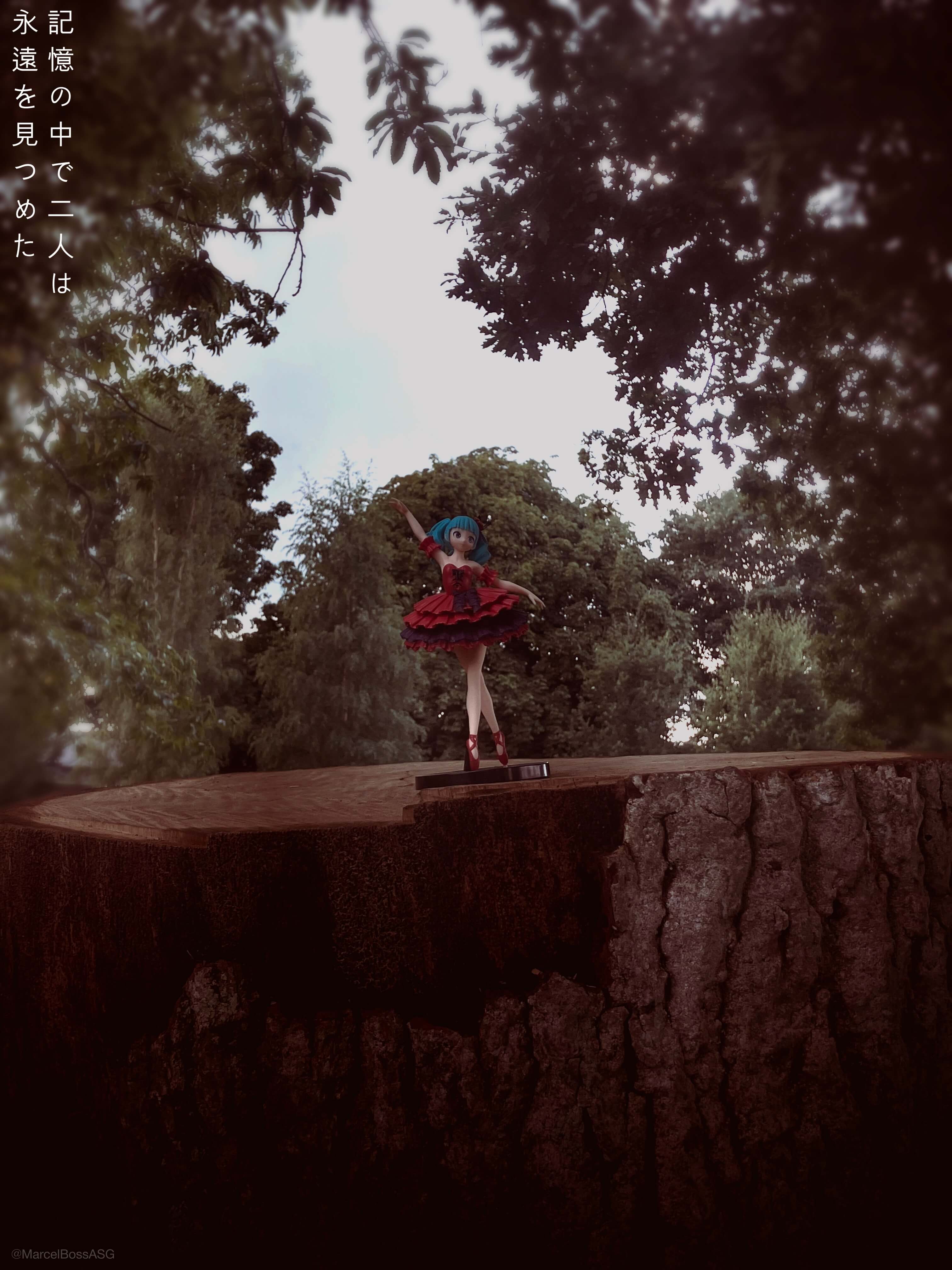Photo of Miku infront of trees